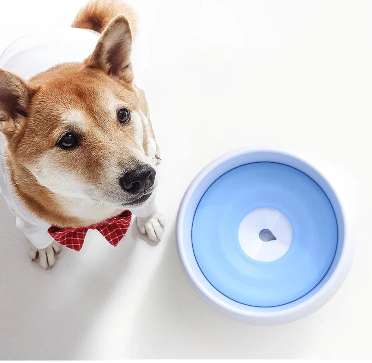 Dog Water Bowl Automatic Floating Plate Easy Clean