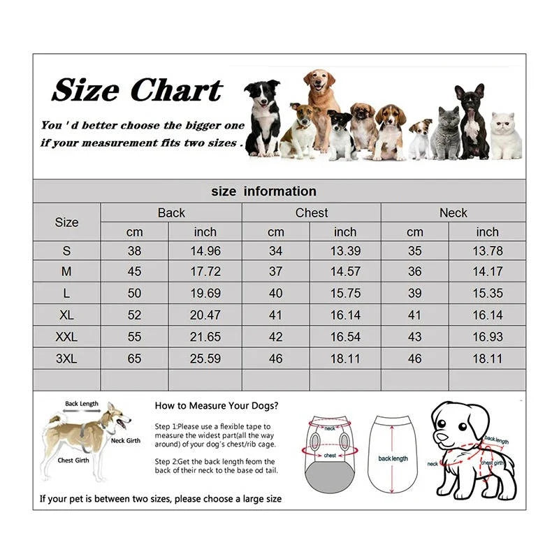 Dog Winter Coat Water-Resistant & Wind-Blocking Insulated Lining