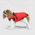 Dog Winter Jacket 3-in-1 Removable Liner & Wind-Resistant Shell