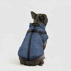 Dog Winter Jacket 3-in-1 Removable Liner & Wind-Resistant Shell