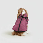 Dog Winter Jacket 3-in-1 Removable Liner & Wind-Resistant Shell
