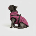 Dog Winter Jacket 3-in-1 Removable Liner & Wind-Resistant Shell