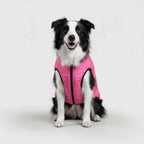 Dog Winter Jacket 3-in-1 Removable Liner & Wind-Resistant Shell