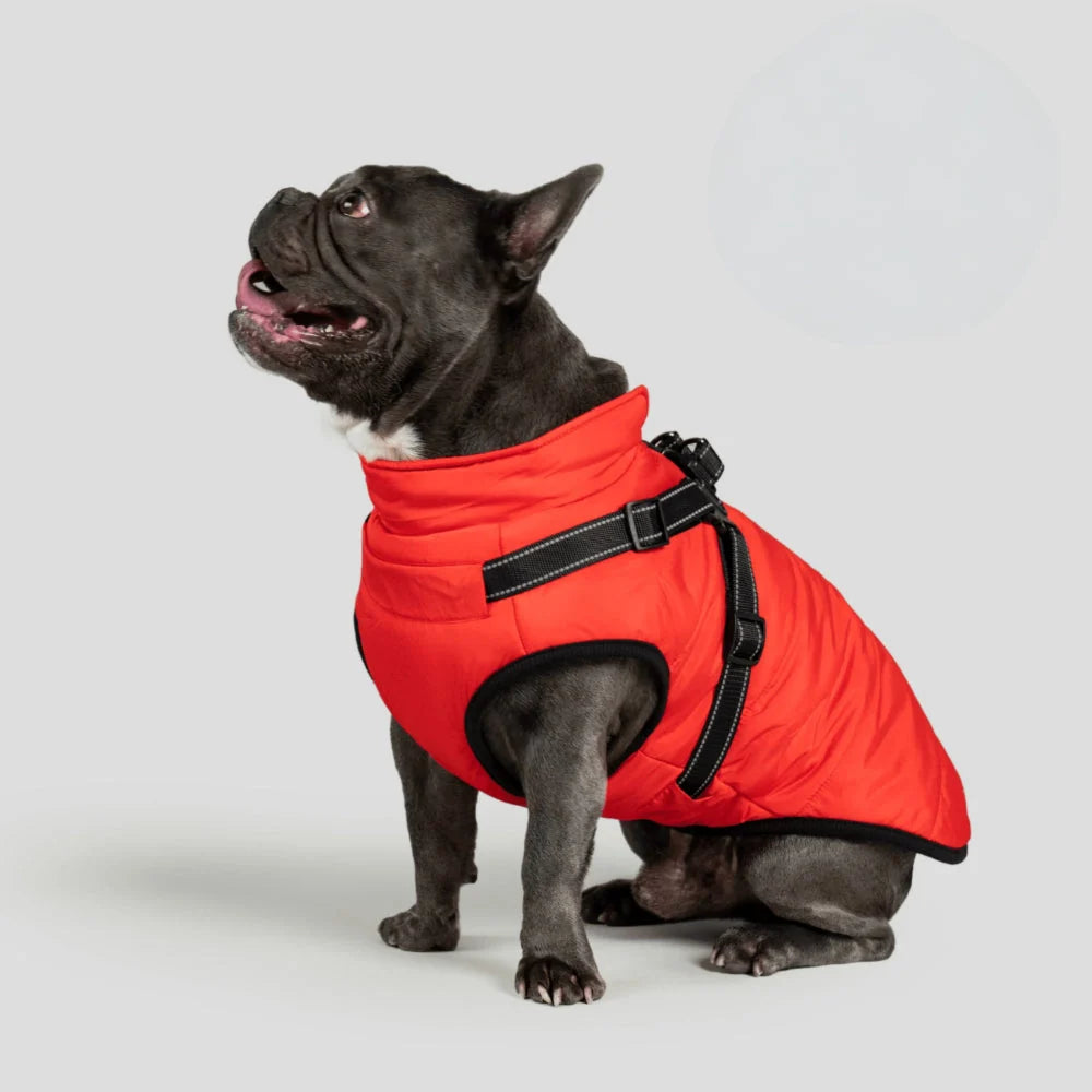 Dog Winter Jacket 3-in-1 Removable Liner & Wind-Resistant Shell