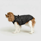 Dog Winter Jacket 3-in-1 Removable Liner & Wind-Resistant Shell