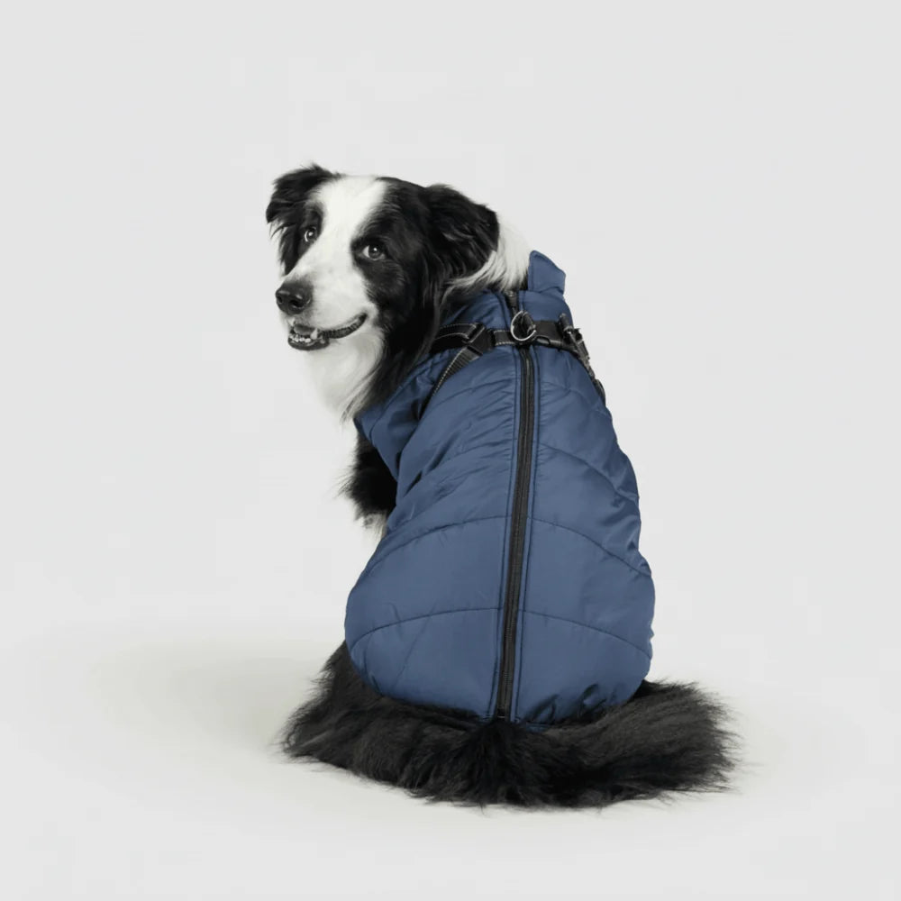 Dog Winter Jacket 3-in-1 Removable Liner & Wind-Resistant Shell