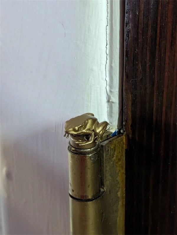 Door Hinge Caps Magnetic Bronze Finish Animal & Plant Motifs