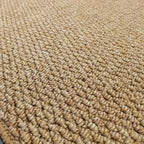 Door Mat Highly Absorbent Anti-Slip & Machine Washable