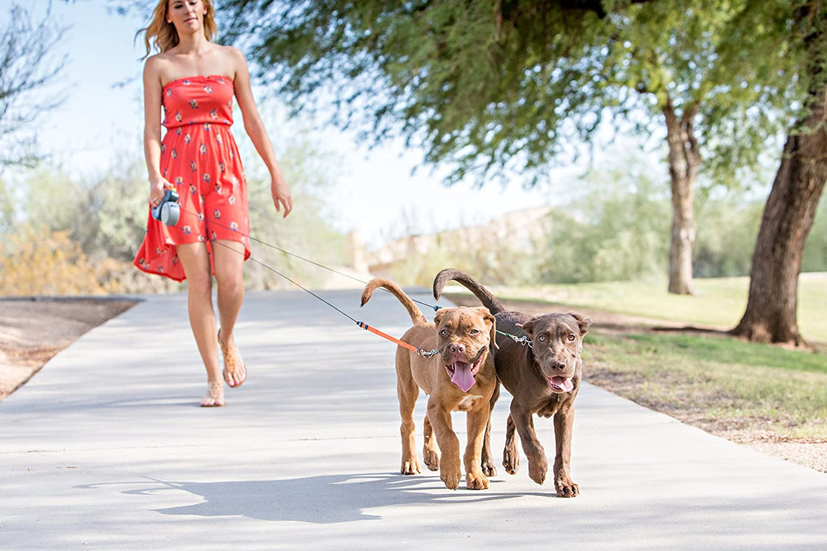 Double Dog Leash 360° Anti-Tangle Reflective
