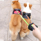 Double Dog Leash Anti-Tangle Swivel & Padded Handle