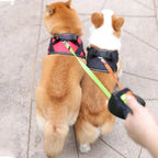 Double Dog Leash Anti-Tangle Swivel Padded Handle