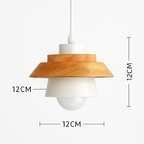 Downward-Diffusing Colored Metal & Light Wood Pendant Light (Cone & Dome)