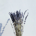 Dried Lavender Bundle Hand-Dried Long-Lasting Scent