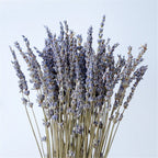Dried Lavender Bundle Hand-Dried Long-Lasting Scent