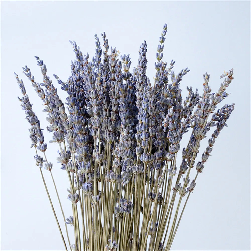 Dried Lavender Bundle Hand-Dried Long-Lasting Scent