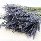 Dried Lavender Bundle Hand-Dried Long-Lasting Scent