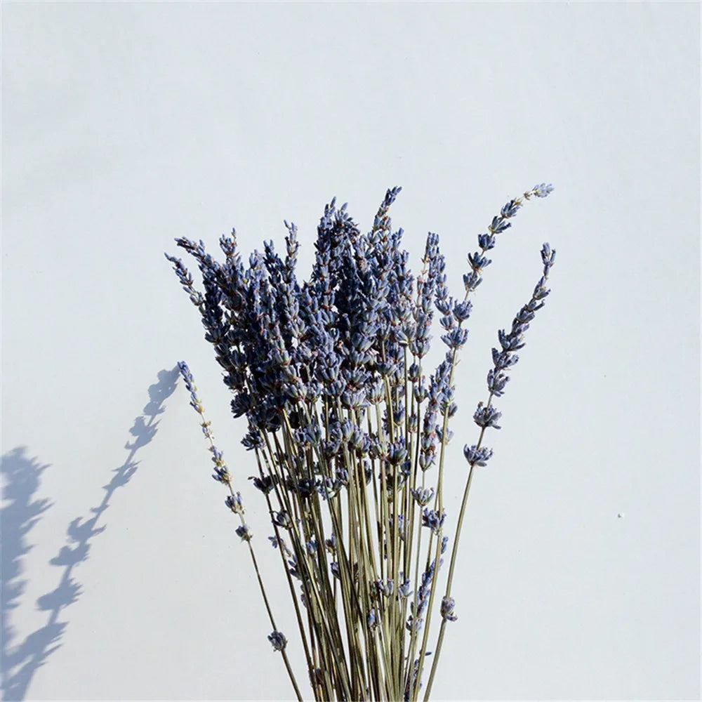 Dried Lavender Bundle Handpicked Air-Dried Aromatherapy