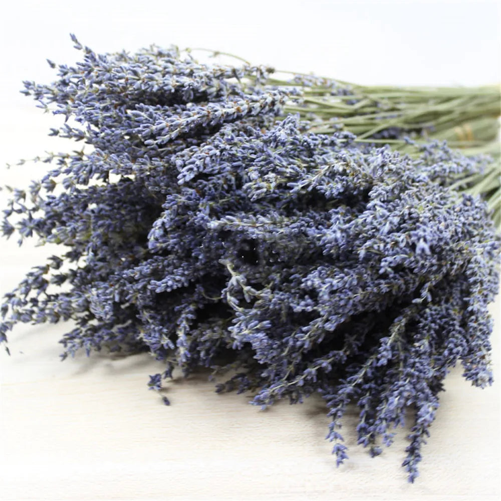 Dried Lavender Bundle Handpicked Air-Dried Aromatherapy