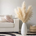 Dried Pampas Grass Stems Soft Fluffy Set of 10