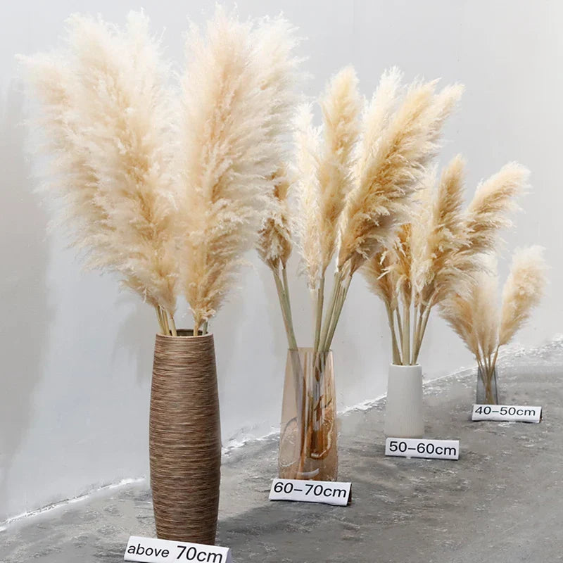 Dried Pampas Grass Stems Soft Fluffy Set of 10