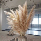 Dried Pampas Grass Stems Soft Fluffy Set of 10