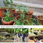 Drip Irrigation Kit Adjustable Nozzles & Water-Saving