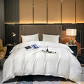 Duvet Cover Mulberry Silk Temperature-Regulating Zipper & Corner Ties