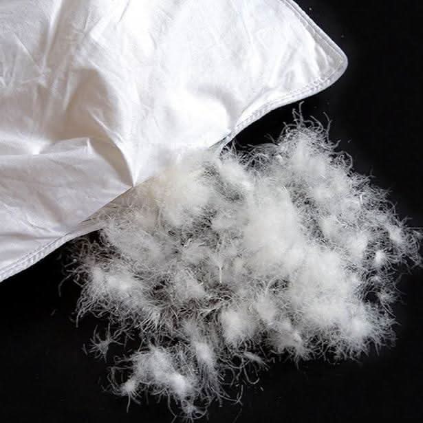 Duvet Insert Breathable Cotton & Year-Round Comfort