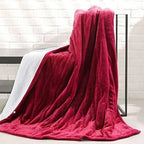 Electric Heated Blanket Sherpa-Lined Plush Flannel 6 Heat Settings