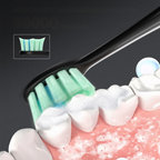 Electric Toothbrush USB Rechargeable & Interchangeable Brush Heads