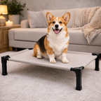Elevated Dog Bed Breathable Mesh Chew-Proof Steel Frame