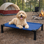 Elevated Dog Bed Breathable Mesh Chew-Proof Steel Frame