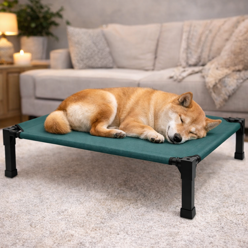 Elevated Dog Bed Breathable Mesh Chew-Proof Steel Frame