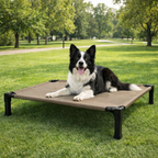 Elevated Dog Bed Breathable Mesh Chew-Proof Steel Frame