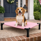 Elevated Dog Bed Breathable Mesh Chew-Proof Steel Frame