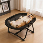 Elevated Pet Bed Breathable Mesh Foldable Iron Frame