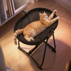 Elevated Pet Bed Breathable Mesh Foldable Iron Frame