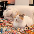Embossed Boho Microfiber Non-Slip Sofa Cover