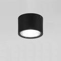Energy-Efficient Integrated LED Flush Mount Ceiling Light
