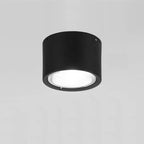 Energy-Efficient Integrated LED Flush Mount Ceiling Light