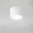 Energy-Efficient Integrated LED Flush Mount Ceiling Light