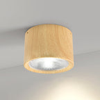 Energy-Efficient Integrated LED Flush Mount Ceiling Light