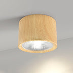 Energy-Efficient Integrated LED Flush Mount Ceiling Light