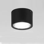 Energy-Efficient Integrated LED Flush Mount Ceiling Light