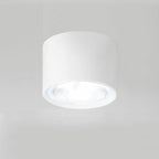 Energy-Efficient Integrated LED Flush Mount Ceiling Light