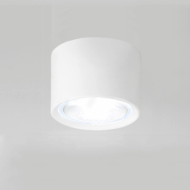 Energy-Efficient Integrated LED Flush Mount Ceiling Light