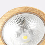 Energy-Efficient Integrated LED Flush Mount Ceiling Light