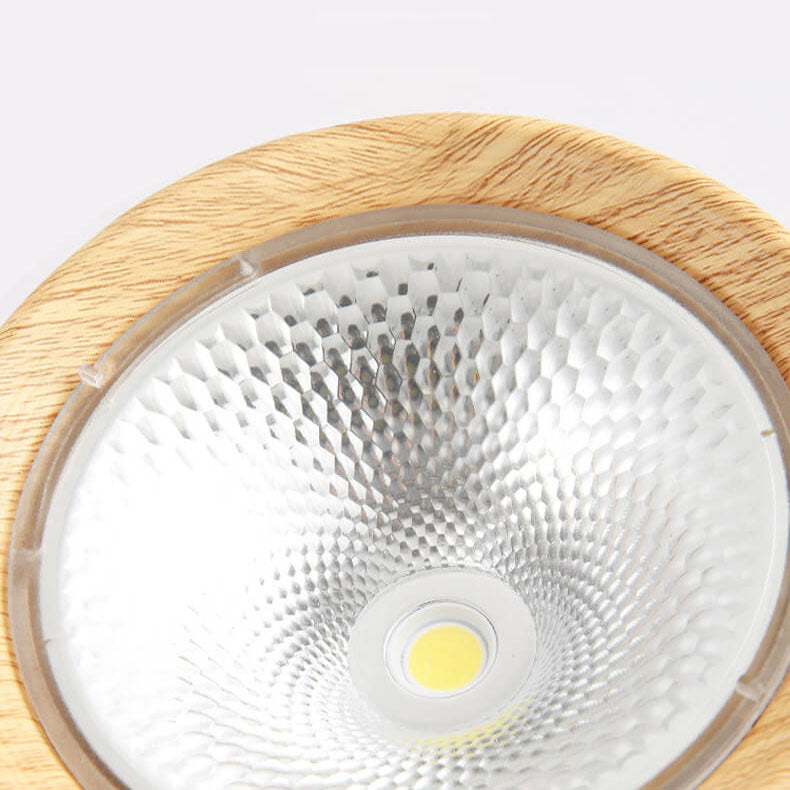 Energy-Efficient Integrated LED Flush Mount Ceiling Light