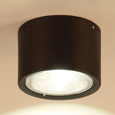 Energy-Efficient Integrated LED Flush Mount Ceiling Light