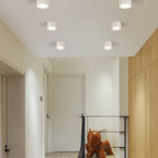Energy-Efficient Integrated LED Flush Mount Ceiling Light